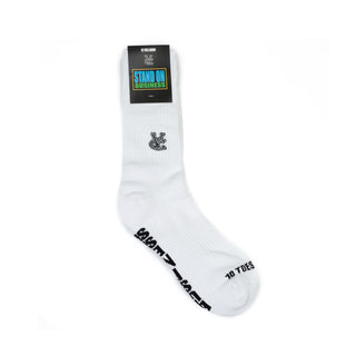 STAND ON BUSINESS FRESH 2PAC SOCKS